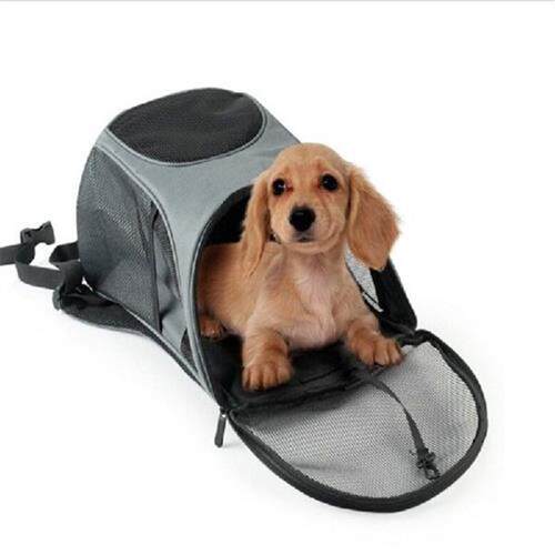Portable Foldable Mesh Pet Carrier Dog Backpack Breathable
