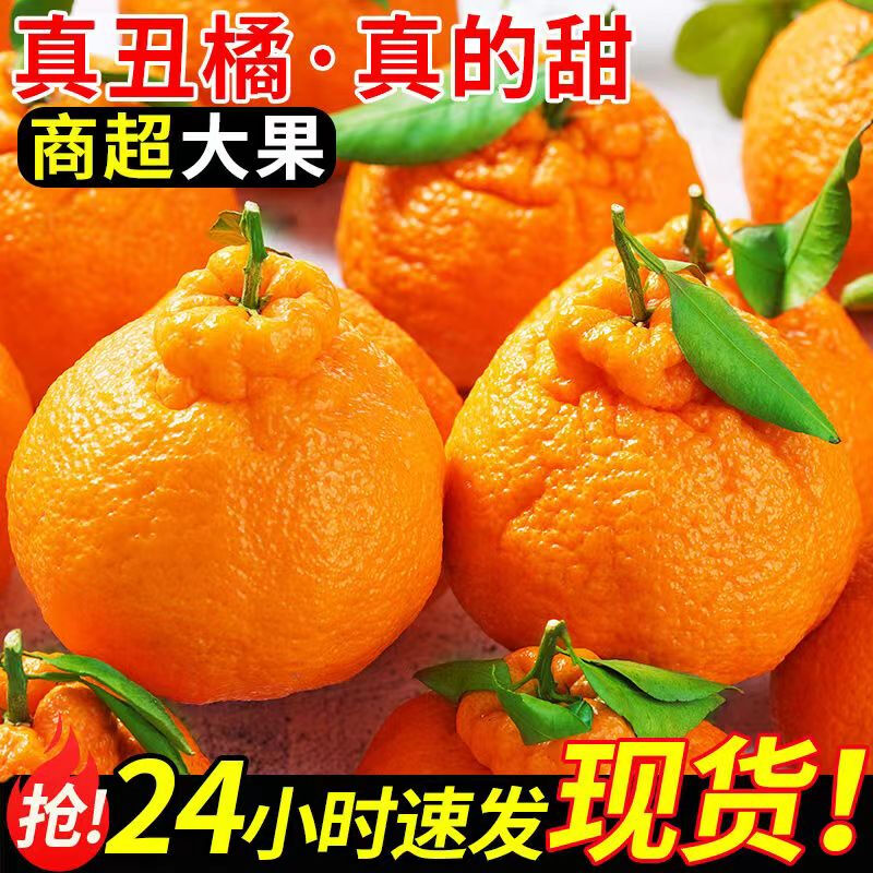 【官方推荐】丑橘TOP好评榜