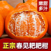 正宗四川春见耙耙柑橘子斤粑粑杷杷柑当季 整箱斤丑桔柑特级5A品质