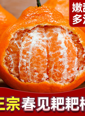 正宗四川春见耙耙柑橘子斤粑粑杷杷柑当季整箱斤丑桔柑特级5A品质