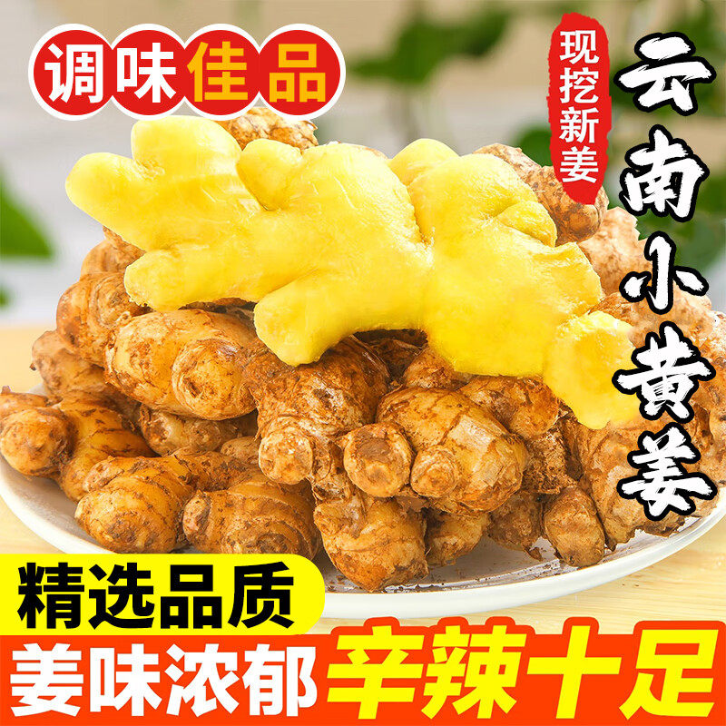 云南新小黄姜老姜生姜新鲜黄姜土姜现挖子姜嫩姜鲜姜嫩姜10斤包邮