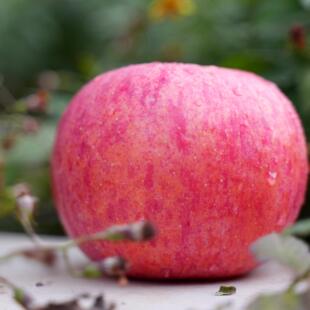 延安苹果特价小果70-80mm24颗净重8.8斤果农直发!