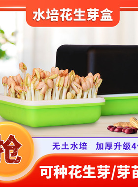 花生芽发芽神器绿豆芽发芽盆芽苗菜育苗盘豆苗水培盒花生苗种植箱