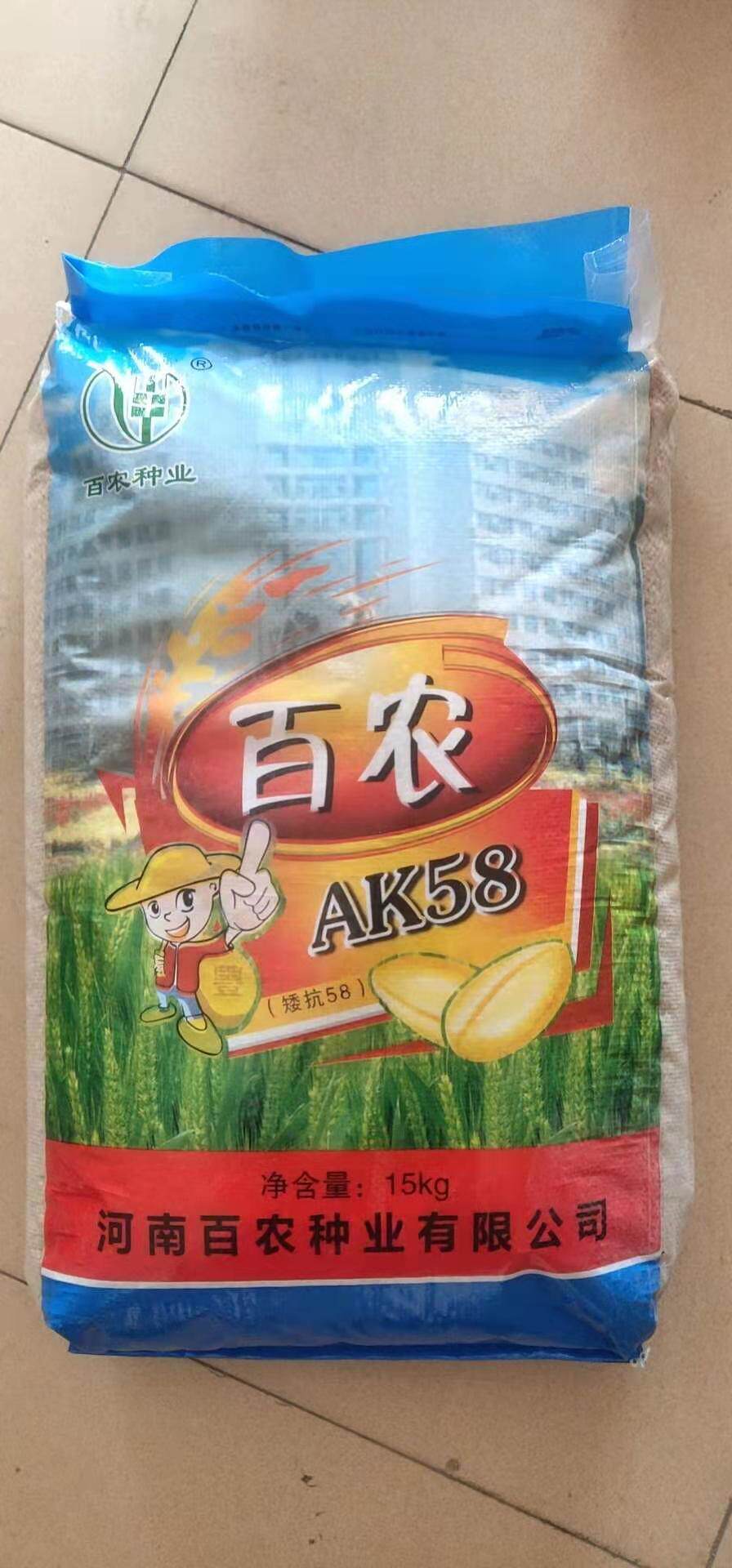 百农矮抗58农科院种子原种麦子抗冻抗倒冬原种国产小麦春小麦种子