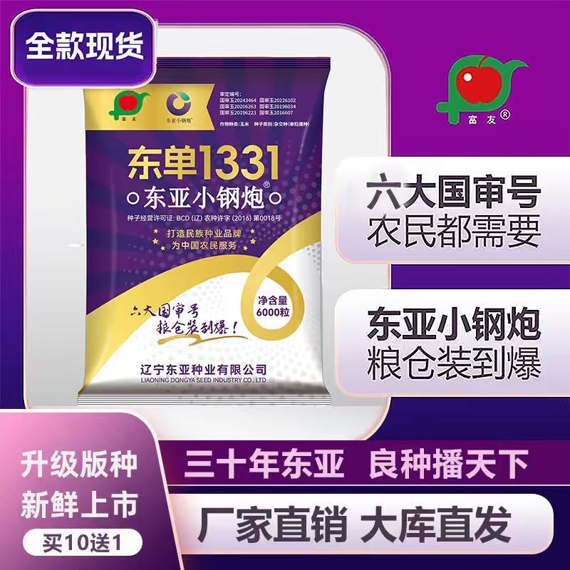 【2026年现货发售】东单1331升级版东亚小钢炮优质玉米种子总厂