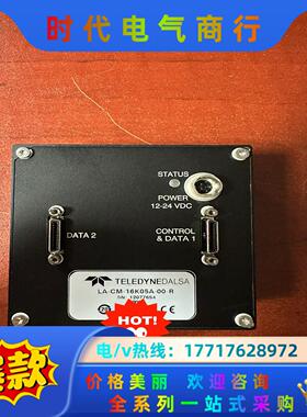 达尔萨工业相机，dalsa线扫相机LA-CM-16k05A-议价