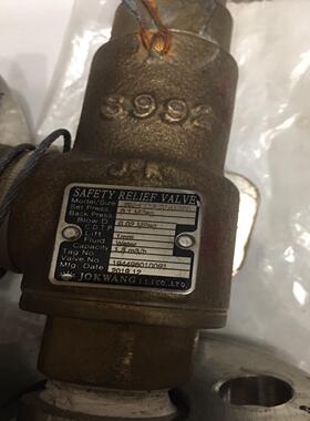 [德峰]JOKWANG SAFETY RELIEF VALVE