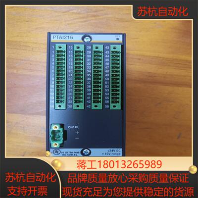 巴赫曼  PTAI216 新款  全新未使用   图片是实