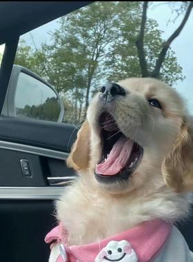 5562178-A 日立 Vantara E590/790