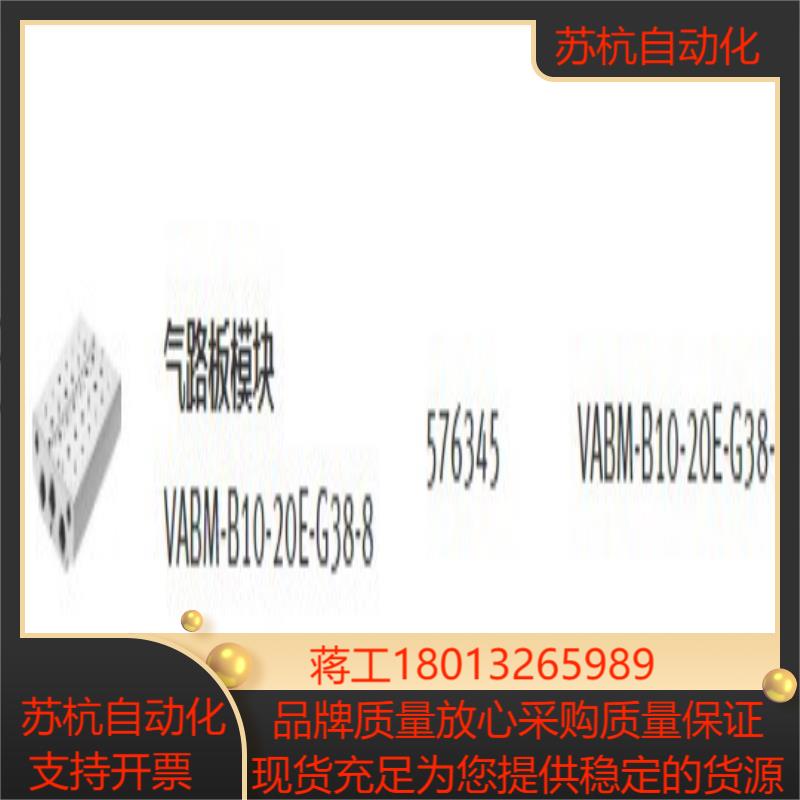 576345   VABM-B10-20E-G38-8 费斯议价图片