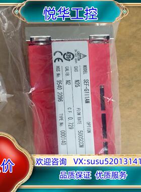 原装HORIBA SEF-G100/SEF-G111AM  全新议