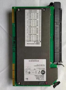 P0973CA 福克斯菠萝