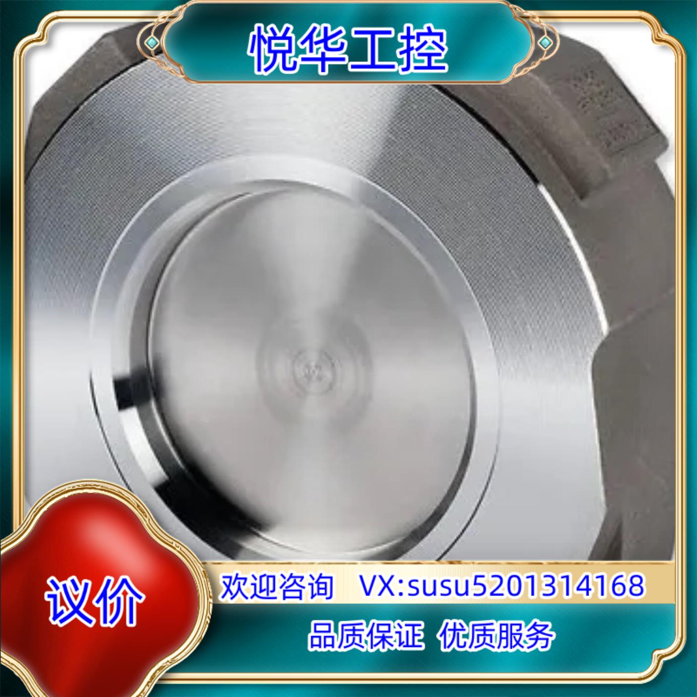 GESTRA RK86 DN50双法兰止回阀#A C12Q议价