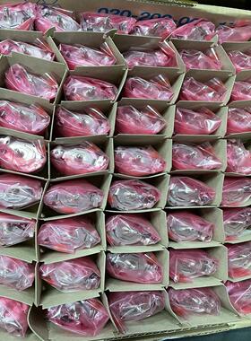 （设备配件）SKS36-HFA0-S01 和 SKS36-HFA2-S0