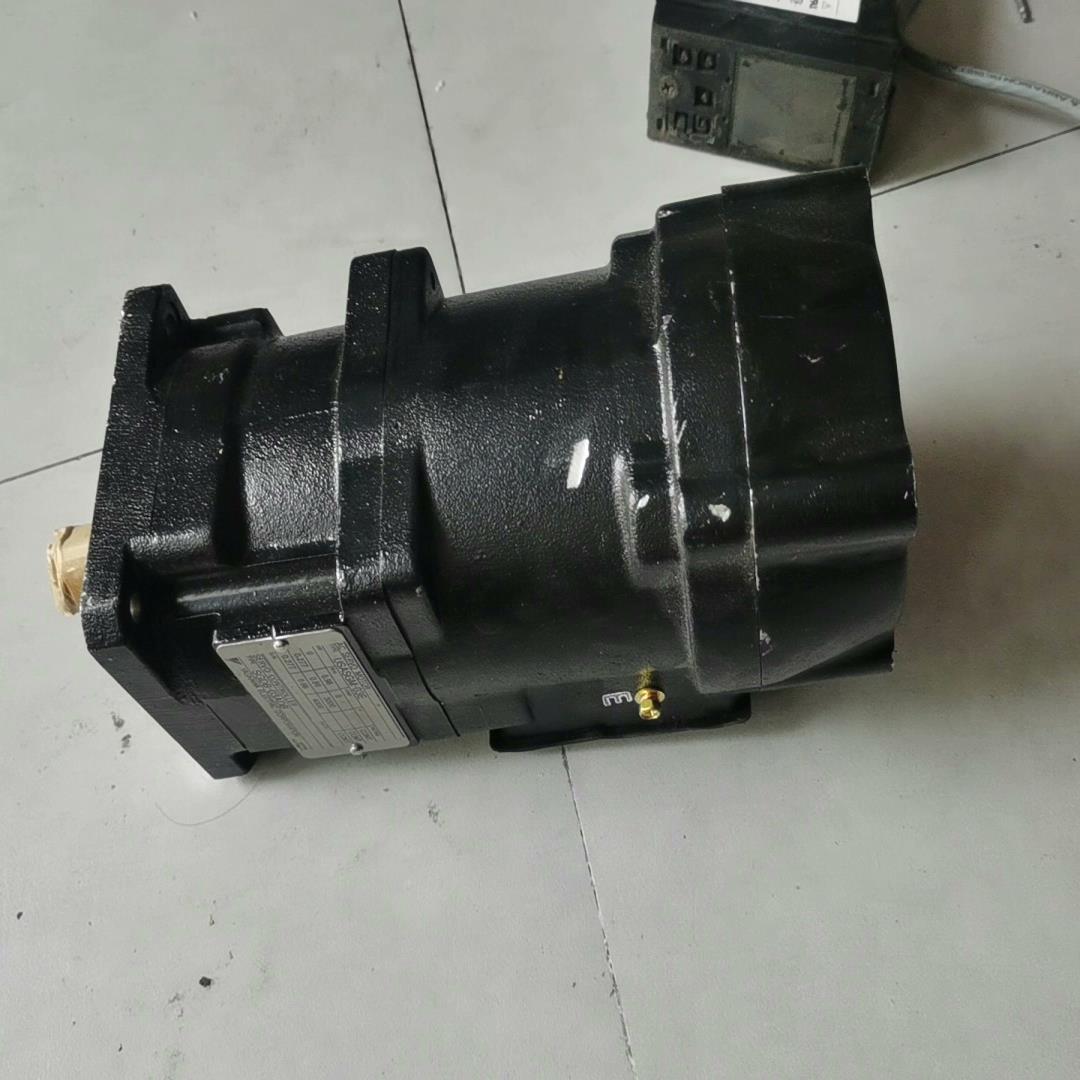 （设备配件）安川耐压防爆电机 USASGM-03E32KBJ