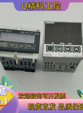 现货温控器E5CSL-RTC  80