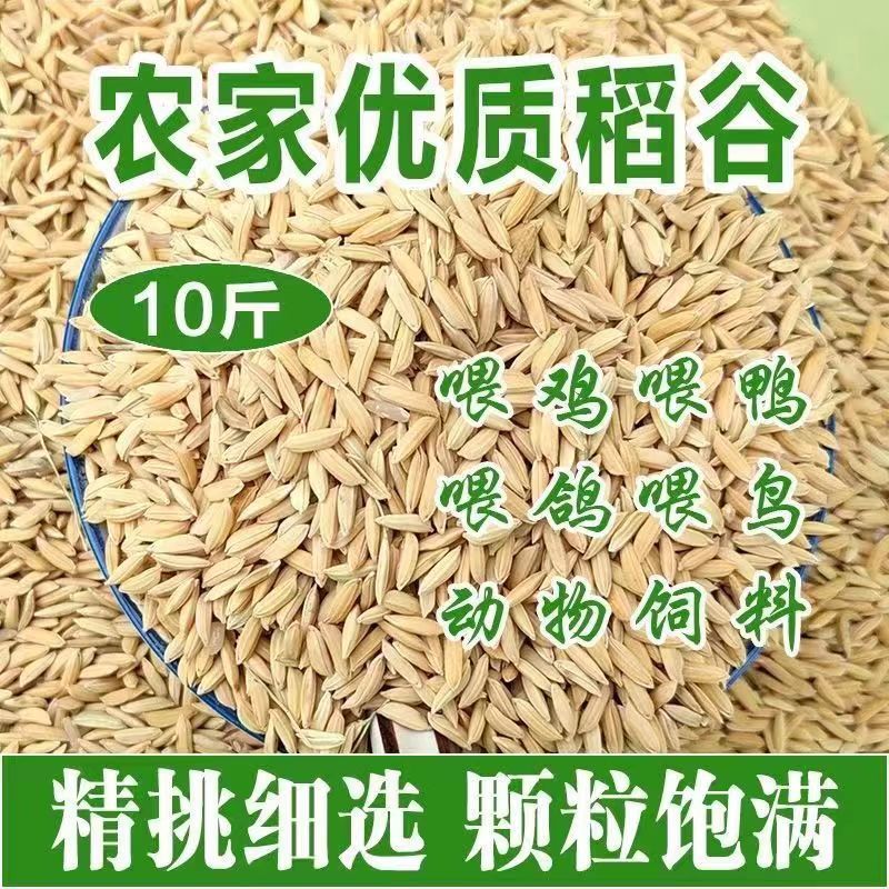 带壳水稻谷饲料10斤喂鸡鸭鹅鸽子