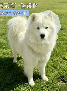 狗猫外出防乱吃误食嘴套
