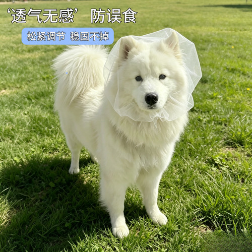 狗猫外出防乱吃误食嘴套
