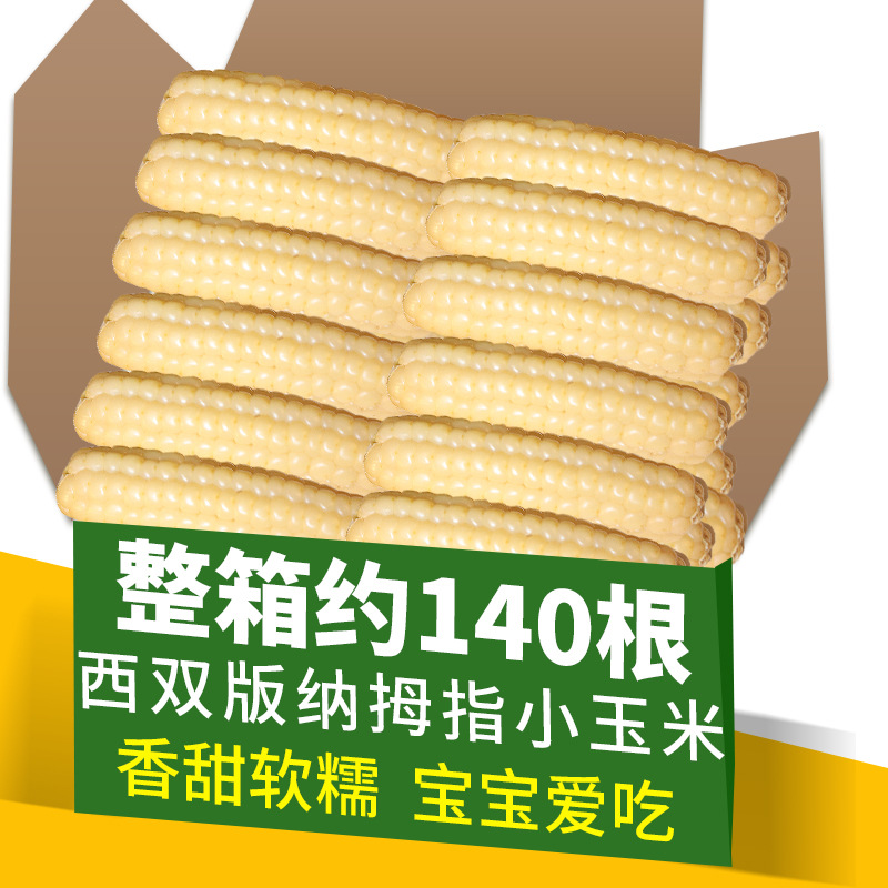 一件代发云南正宗香糯手指玉米拇指玉米小玉米棒新鲜真空宝宝辅食