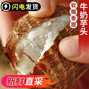 云南牛奶小芋头新鲜现挖软糯丝滑香芋当季蔬菜5斤现货毛芋奶油芋