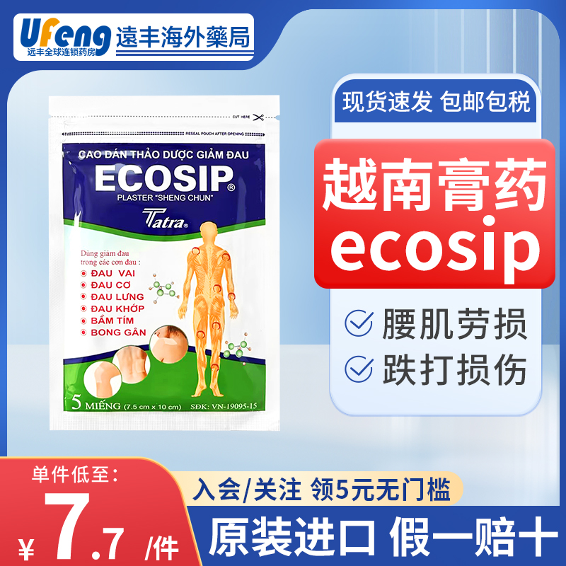 越南ECOSIP活络贴5贴肩颈背腰肌劳损关节炎疼痛风湿酸痛跌打扭伤