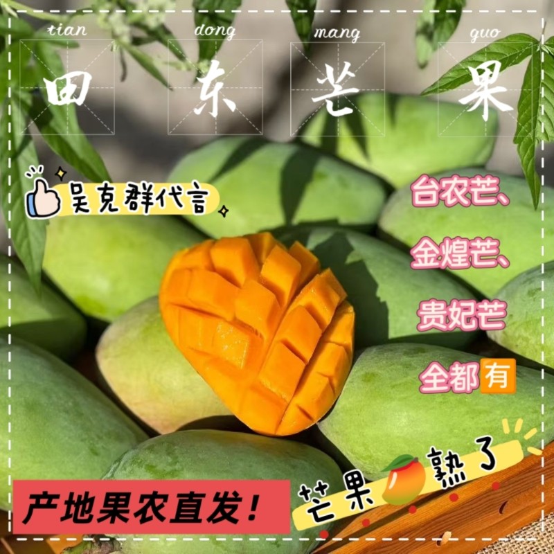广西百色芒果 香甜爆汁台农芒 产地直发 超甜整箱新鲜亚热带水果