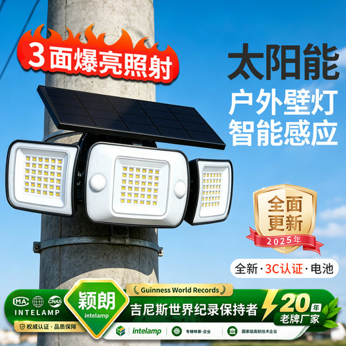 太阳能分体式人体感应灯