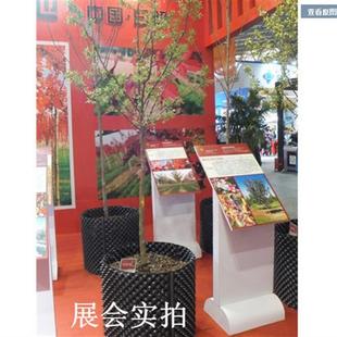 控根器 植树用围土栏景观树围栏控根器排水板移苗育苗器