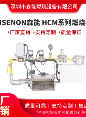 HSENON森能 HCM-20万大卡 233KW 涂装烤漆房烘干固化炉燃烧器