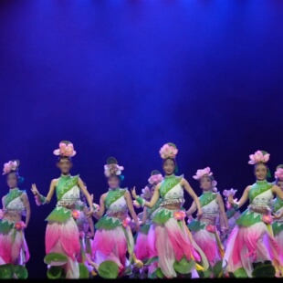 《荷田倩影》第十八届云南新剧目展演专业定制女子群舞演出服装