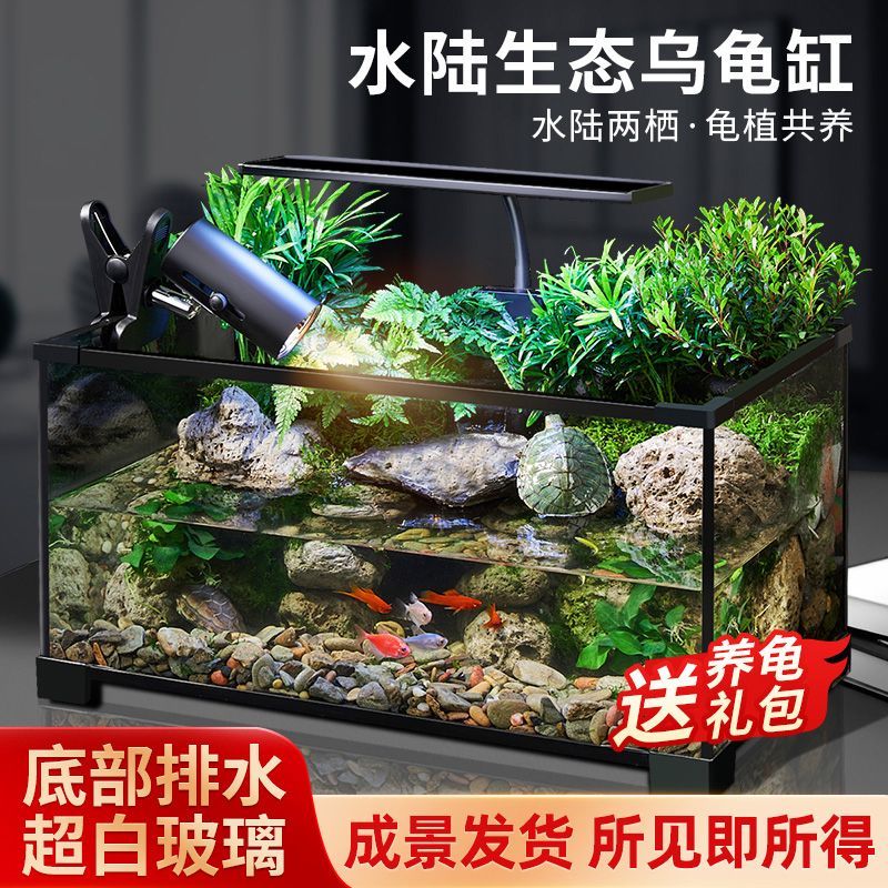 乌龟缸高清玻璃生态造景龟鱼缸一体混养生态缸客厅专用家用饲养缸