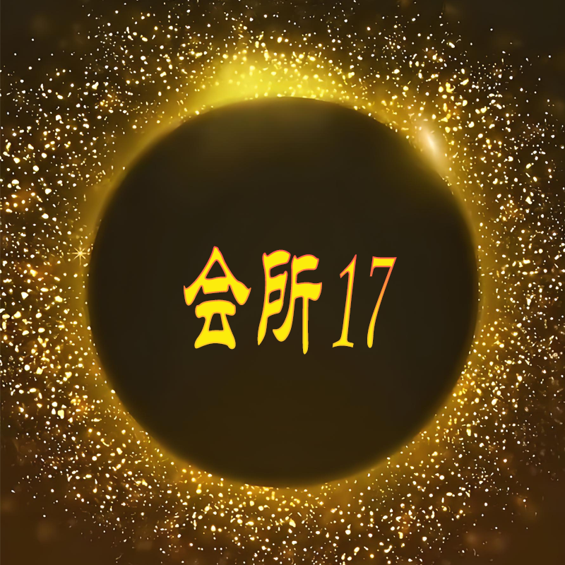 【老板潘潘】新品单肩斜挎手提女包