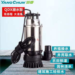 阳春水泵 养殖泵 小型不锈钢潜水泵 家用电动大流量抽水泵220V