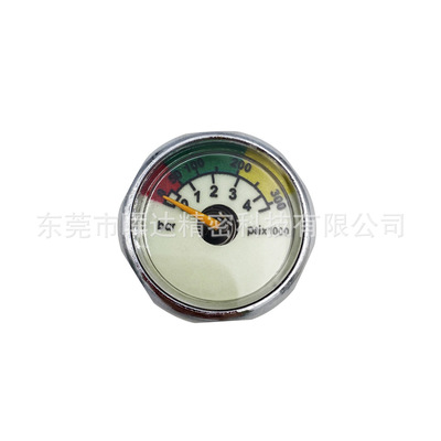 M10*1表直径25mm 双量程表300bar/4500psi