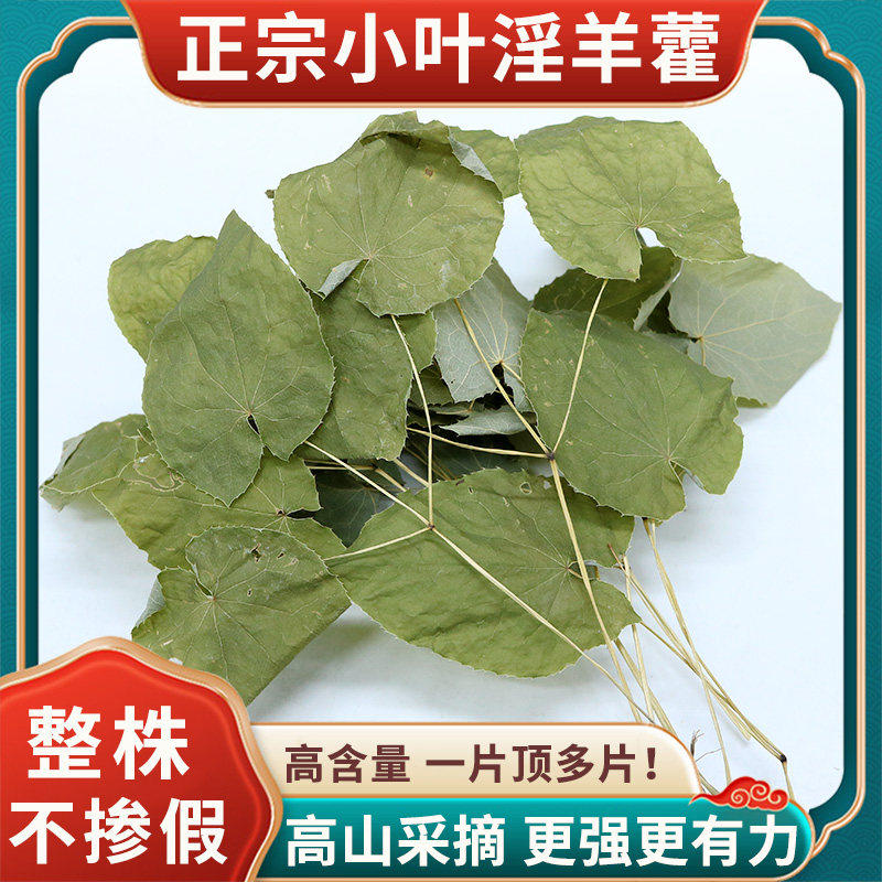 甘肃野生小叶淫羊藿中药材正品泡茶泡水泡酒整棵三支九叶草羊藿叶