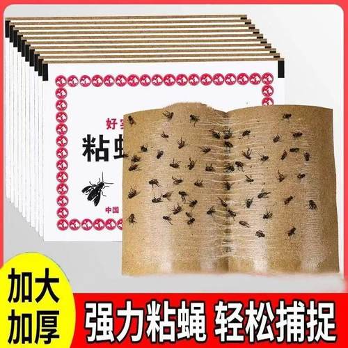 苍蝇贴强力粘苍蝇纸粘蝇板