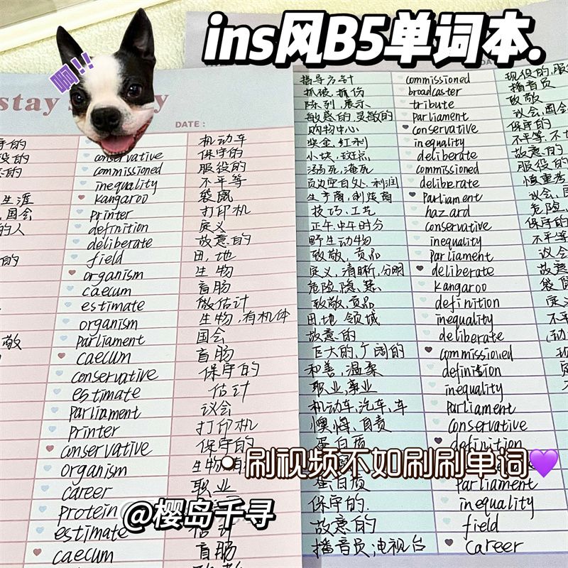 【公主请下单】ins风B5英