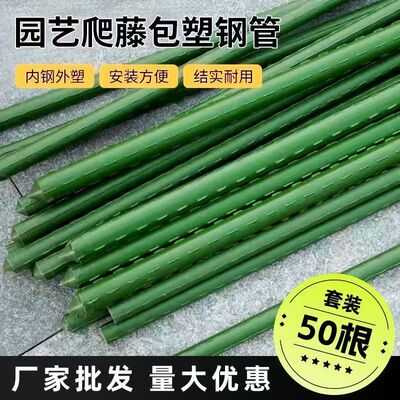 豆角瓜果葡萄爬藤架厂家批发