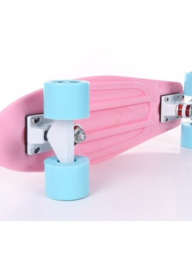 Pastel Mini  22