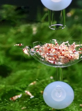 Aquarium Fish Tank Shrimp Food Feeder Clear Glass Feeding Tu