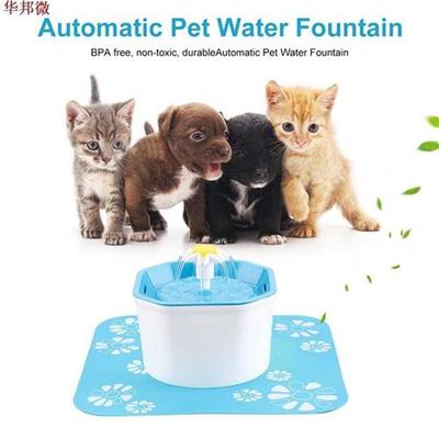 Fontaine deau automatique pour chats | Pour animaux dom