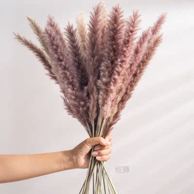 30Pcs Real Dried Reed Flowers Bouquet Home Wedding Decoratio