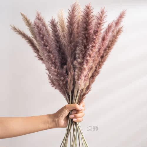 30Pcs Real Dried Reed Flowers Bouquet Home Wedding Decoratio