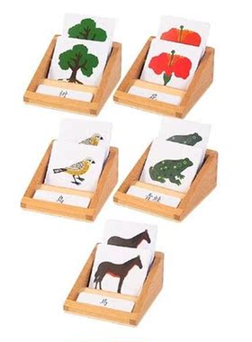 Animal and Plant Three Segment Card Cognitive Biology