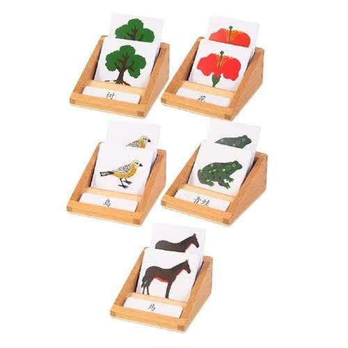 Animal and Plant Three Segment Card Cognitive Biology