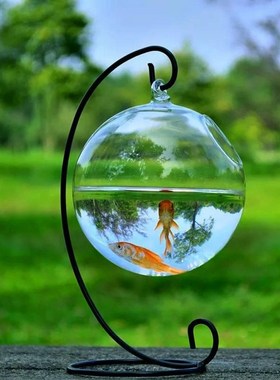 Round Shape Hanging Glass Aquarium Fish Bowl Fish Tank Rack