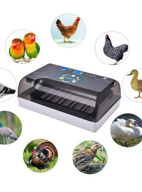 Dreamburgh Farm Hatchery Incubator Brooder Machine 4-35 Egg