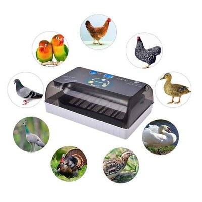 Dreamburgh Farm Hatchery Incubator Brooder Machine 4-35 Egg