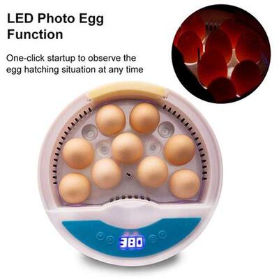 Automatic Egg Incubator Hatcher 9 Egg Farm Hatching Egg Incu